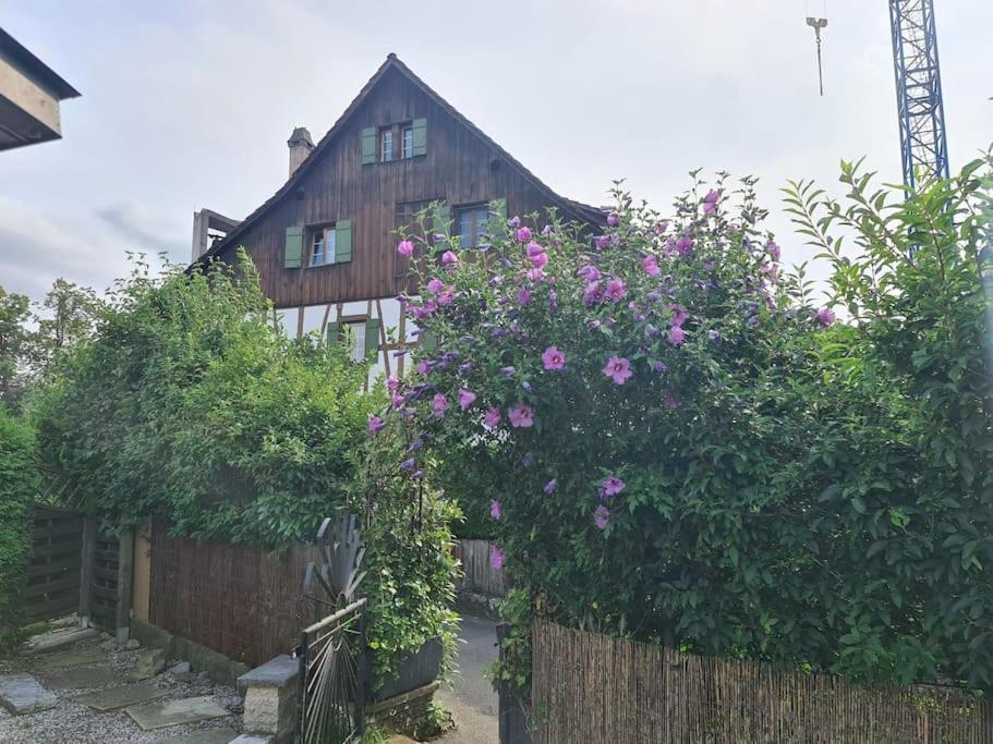 3 Bedroom Swiss House On 3 Floors Oberglatt Luaran gambar