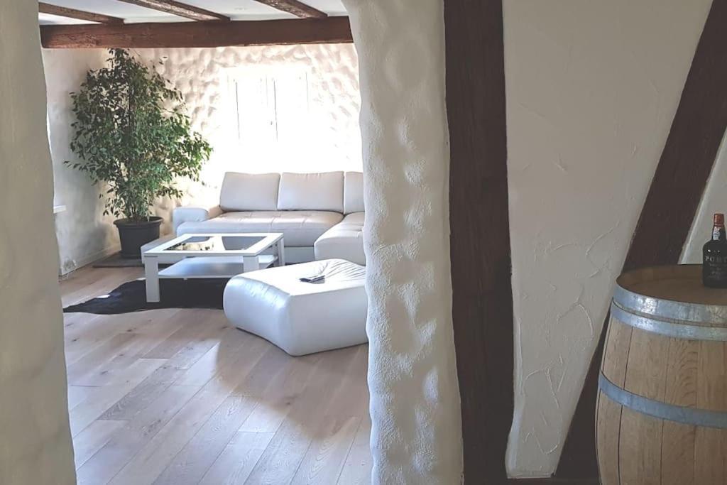3 Bedroom Swiss House On 3 Floors Oberglatt Luaran gambar