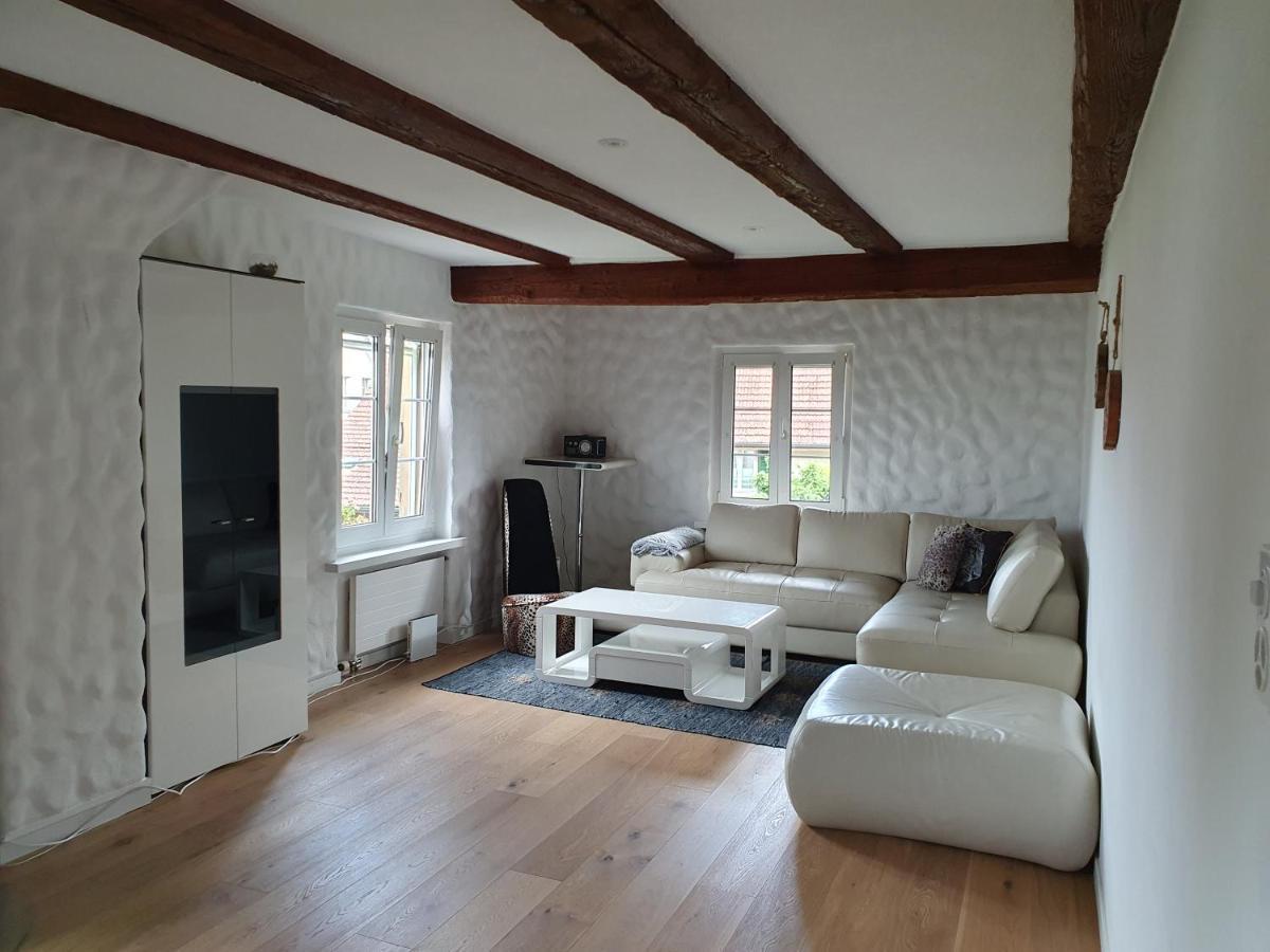 3 Bedroom Swiss House On 3 Floors Oberglatt Luaran gambar